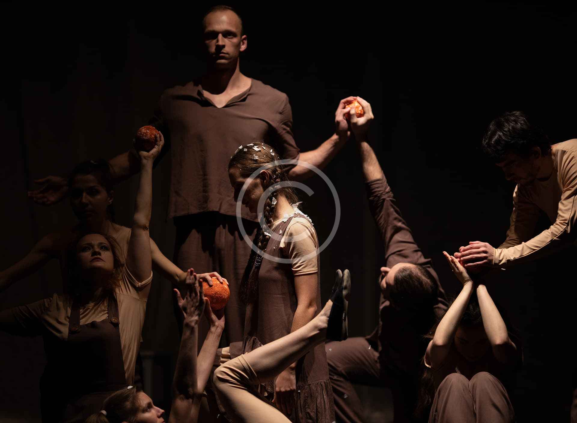 Custom Img 88 Copyright