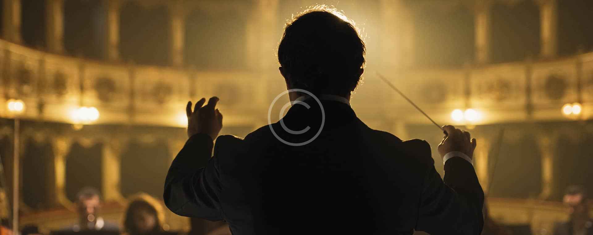 Background 03 Copyright