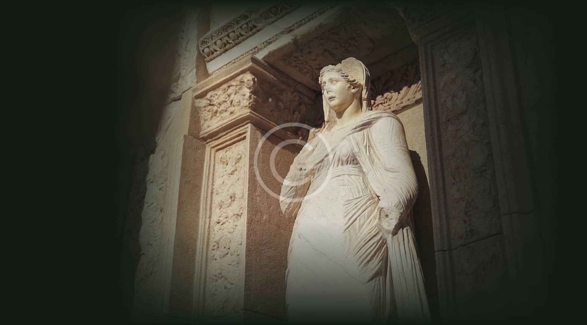 Background 05 Copyright