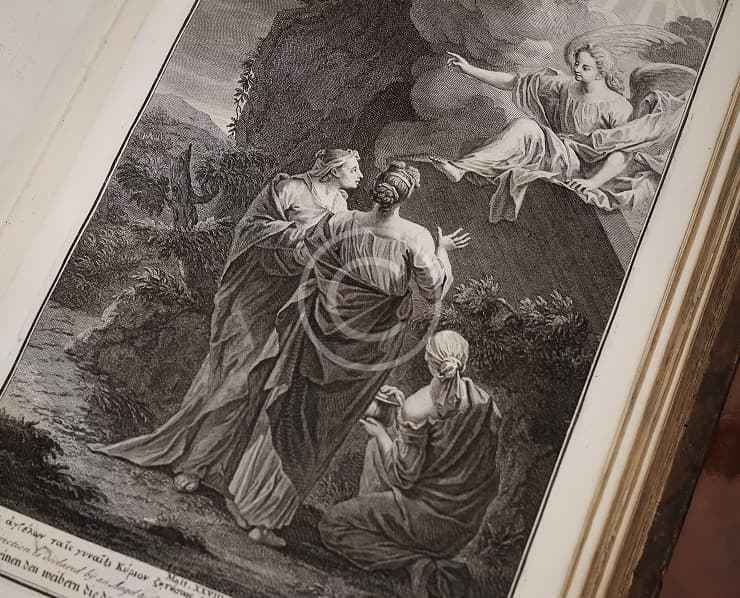 Custom Img 49 Copyright